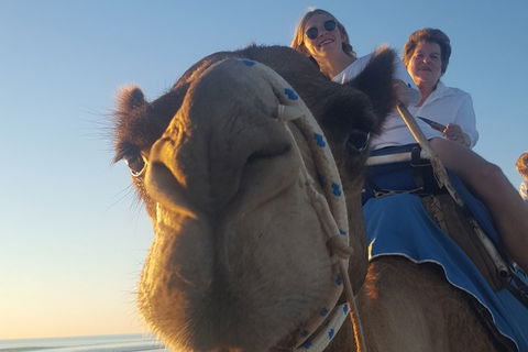 1 Hour Broome Sunset Camel Tour - Accommodation ACT 4