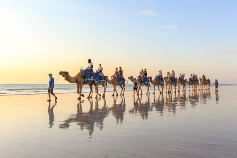 1 Hour Broome Sunset Camel Tour - Accommodation ACT 5