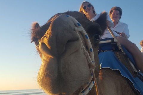 Broome Pre-sunset Camel Tour 30 Minutes - Accommodation ACT 1
