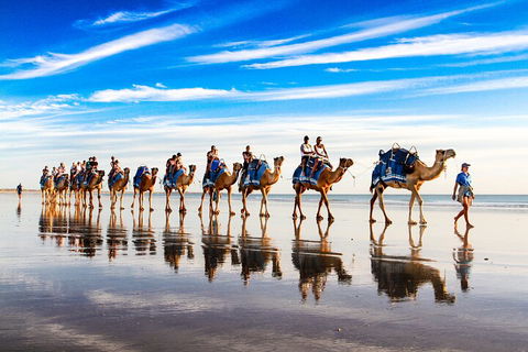 Broome Pre-sunset Camel Tour 30 Minutes - Accommodation ACT 2