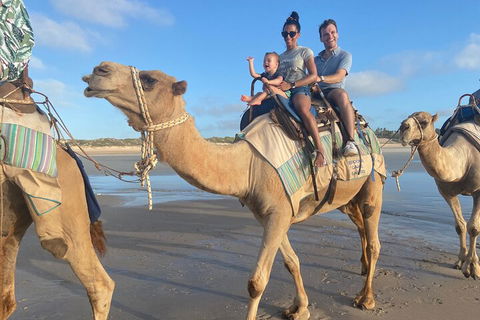 Broome Pre-sunset Camel Tour 30 Minutes - Accommodation ACT 3
