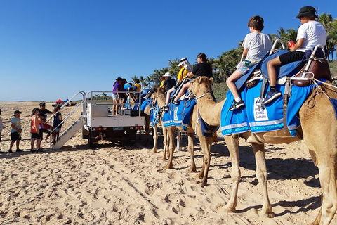 Broome Pre-sunset Camel Tour 30 Minutes - Accommodation ACT 5