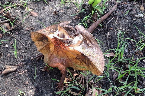 Litchfield National Park And Jumping Crocodile Cruise - Accommodation ACT 1