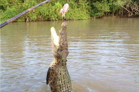 Litchfield National Park And Jumping Crocodile Cruise - Accommodation ACT 2