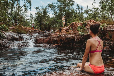 Litchfield National Park Day Tour From Darwin With Waterfalls And Buley Rockhole - Accommodation ACT 0
