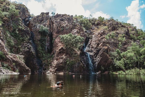 Litchfield National Park Day Tour From Darwin With Waterfalls And Buley Rockhole - Accommodation ACT 1