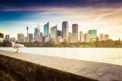 Private Sydney City And Bondi Beach Half Day Tour - Accommodation ACT 2