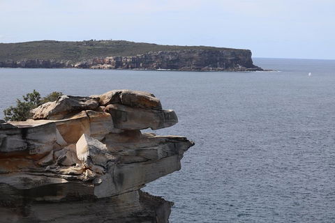 Private Sydney City And Bondi Beach Half Day Tour - Accommodation ACT 3