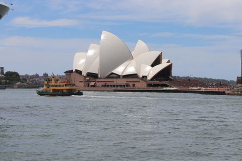 Private Sydney City And Bondi Beach Half Day Tour - Accommodation ACT 5