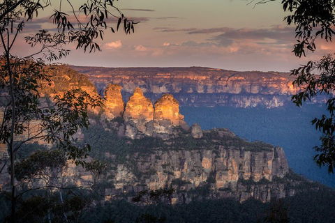 Private Blue Mountains Tour With Kangaroo And Koala Experience - Accommodation ACT 1