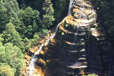 Private Blue Mountains Tour With Kangaroo And Koala Experience - Accommodation ACT 5