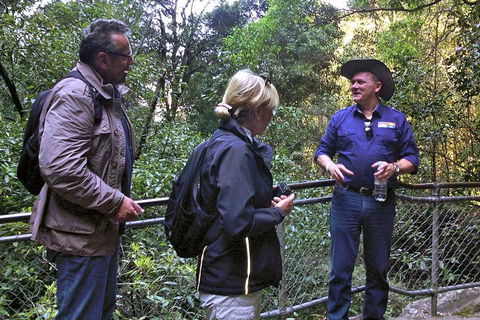 Private Blue Mountains Day Tour Including Wildlife Park - Accommodation ACT 3