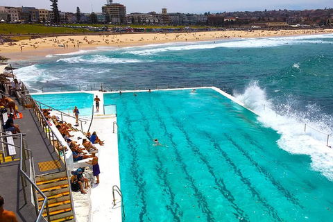 Private Sydney Half Day Tour Including Sydney Opera House And Bondi Beach - Accommodation ACT 1