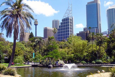 Private Sydney Half Day Tour Including Sydney Opera House And Bondi Beach - Accommodation ACT 4