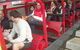 Full-Day Private Blue Mountains Tour With River Cruise - thumb 0