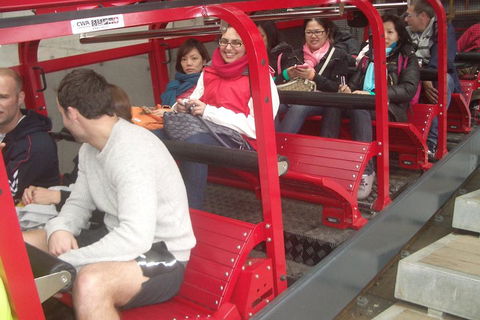 Full-Day Private Blue Mountains Tour With River Cruise - Accommodation ACT 0