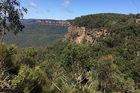 Full-Day Private Blue Mountains Tour With River Cruise - Accommodation ACT 1
