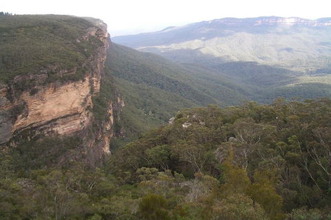 Full-Day Private Blue Mountains Tour With River Cruise - Accommodation ACT 3