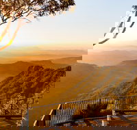 O'Reilly's  Lamington National Park incl. Alpaca Farm  Vineyard - Accommodation ACT