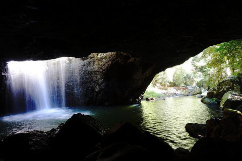 Rainforest & Waterfalls Extravaganza - Accommodation ACT 0