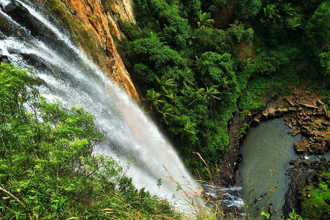 Rainforest & Waterfalls Extravaganza - Accommodation ACT 1