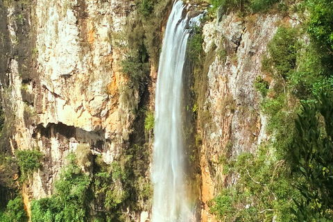 Rainforest & Waterfalls Extravaganza - Accommodation ACT 3