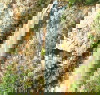 Private Tour - Rainforest  Waterfalls Extravaganza - Accommodation ACT