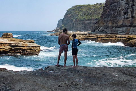 Sydney Private Tour Featuring Wilderness, Wildlife, Waves, Waterfalls And Wine - Accommodation ACT 0