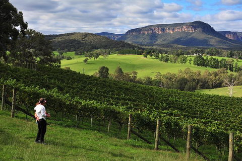 Private Blue Mountains And Winery Day-Trip From Sydney - Accommodation ACT 2