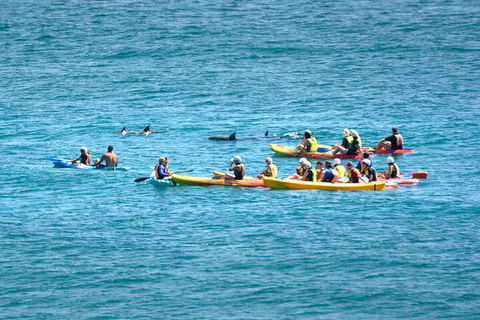 The Byron Bay Sea Kayak Tour - Accommodation ACT 1