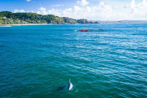 The Byron Bay Sea Kayak Tour - Accommodation ACT 2
