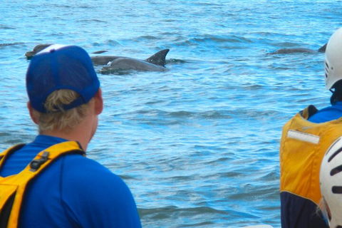 The Byron Bay Sea Kayak Tour - Accommodation ACT 4
