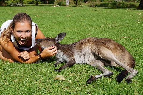 7-Day Tour In Sydney With Airport Pickup - Accommodation ACT 4