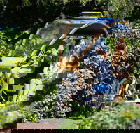 Adelaide 90-Minute Pedicab Tour Scenic Green  River Experience - Accommodation ACT