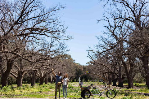 Adelaide 90-Minute Pedicab Tour: Scenic Green & River Experience - Accommodation ACT 1