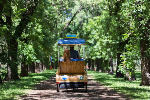 Adelaide 90-Minute Pedicab Tour: Scenic Green & River Experience - Accommodation ACT 2