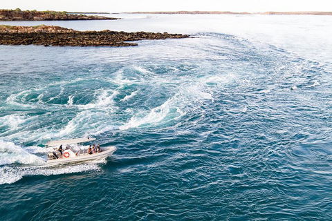 Giant Tides Tour - Cygnet Bay Pearl Farm - Accommodation ACT 4