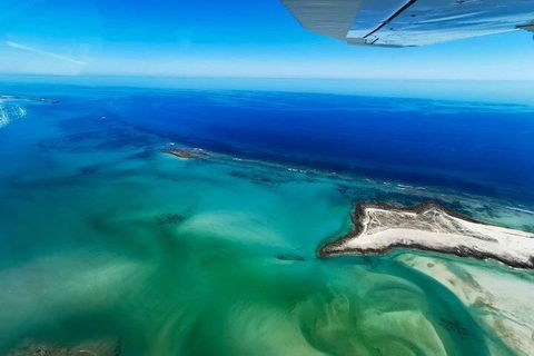 Wet Season Incredible Islands Tour - Horizontal Falls & Cygnet Bay Pearl Farm - Accommodation ACT 4