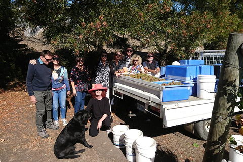 Valleys Of Vino Tour - Accommodation ACT 1