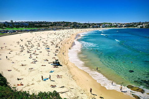 Sydney & Bondi Beach Plus Local Secrets With 'Personalised Sydney Tours' - Accommodation ACT 5