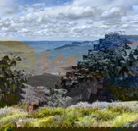 Blue Mountains Private Tour - wild kangaroos waterfalls and The Three Sisters - Accommodation ACT