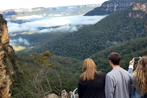 Blue Mountains Private Tour - Wild Kangaroos, Waterfalls And The Three Sisters - Accommodation ACT 3
