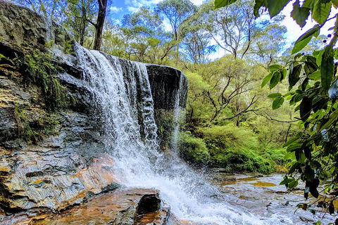 Blue Mountains Private Tour - Wild Kangaroos, Waterfalls And The Three Sisters - Accommodation ACT 5