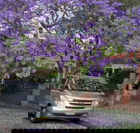 Sydney Secrets  Bondi Beach Private 4 Hr Morning with Personalised Sydney Tours - Accommodation ACT
