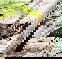 Sydney Taronga Zoo General Entry Ticket and Wild Australia Experience - Accommodation ACT
