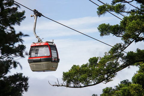 Sydney Taronga Zoo General Entry Ticket And Wild Australia Experience - Accommodation ACT 2