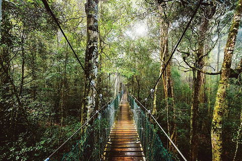 O'Reilly's & Lamington National Park From Gold Coast - Accommodation ACT 0