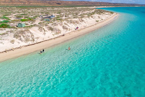 Ningaloo In A Day - Full Day Hike And Snorkel Tour With Lunch - Accommodation ACT 0