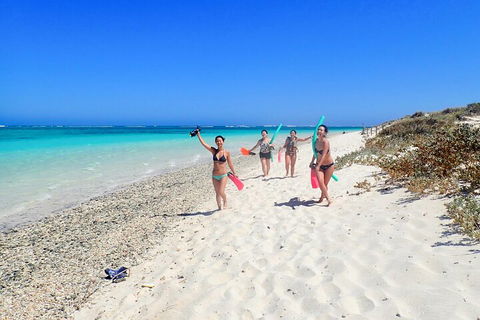 Ningaloo In A Day - Full Day Hike And Snorkel Tour With Lunch - Accommodation ACT 1