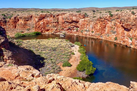 Ningaloo In A Day - Full Day Hike And Snorkel Tour With Lunch - Accommodation ACT 2